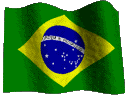 Charles Gracie Brazilian Jiu-Jitsu Reno BJJ Brazilian Flag Waving
